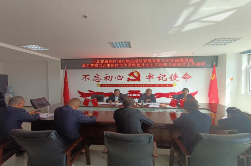 現(xiàn)代物流公司黨支部召開學(xué)習貫徹習近平新時代中國特色社會主義思想主題教育工作會議