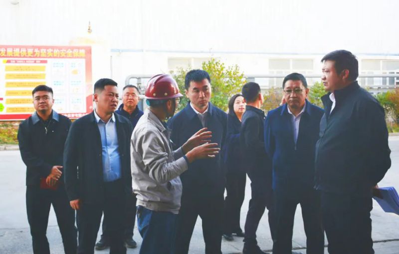 大通縣委副書記、縣長馬明旭一行蒞臨工投公司調(diào)研指導(dǎo)